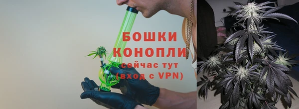 мдпв Мегион