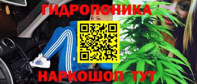 дмт Донской