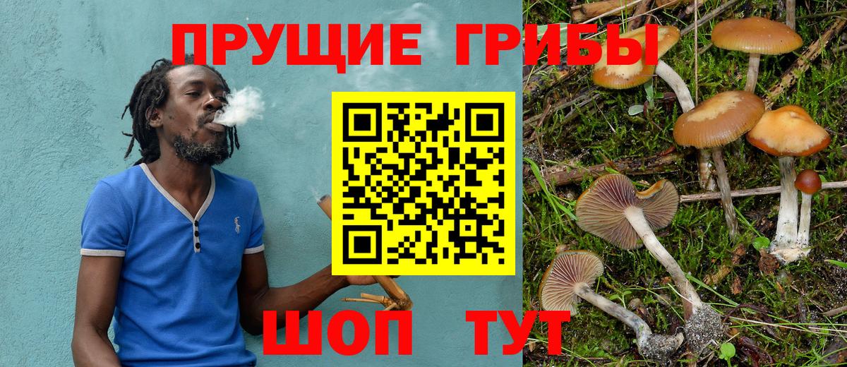 Псилоцибиновые грибы прущие грибы Сертолово