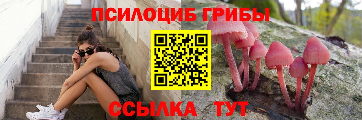 Сертолово  Галлюциногенные грибы MAGIC MUSHROOMS  Вход с VPN 